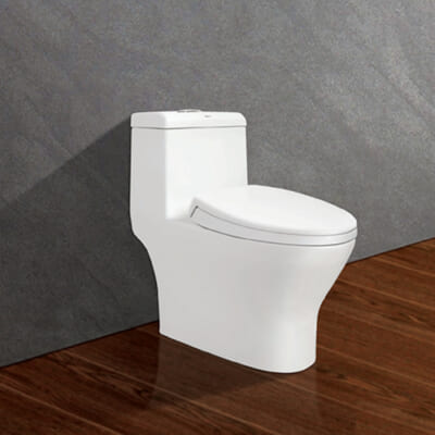 Bồn cầu Viglacera V45